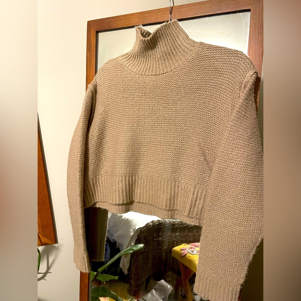 Cozy, cropped turtle neck sweater